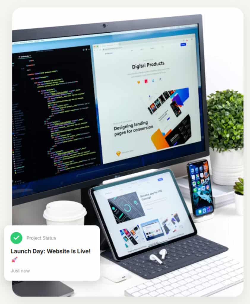 small business website designer